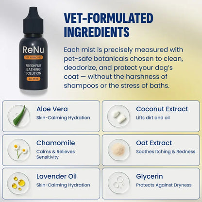 Starter Grooming Kit